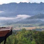 Ragam Kehidupan 2026: Perubahan Di Berbagai Aspek Modern